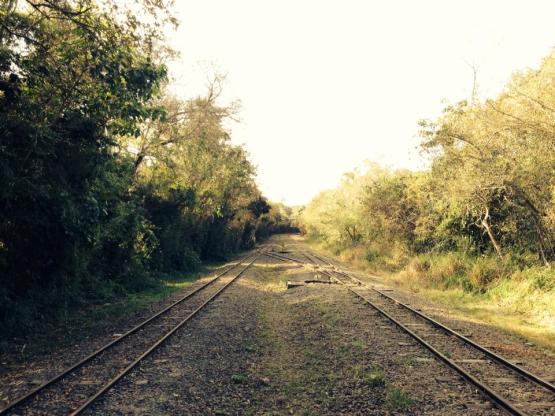 10532374_10153105710912589_3490343716034474416_n