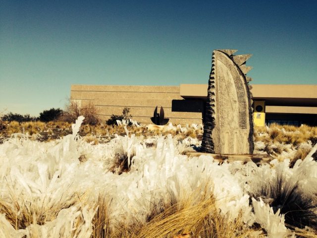 10533905_10153088822532589_596405259031517657_o