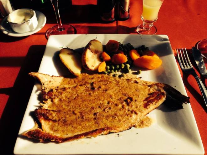 10550150_10153090609137589_3946657701652768425_o