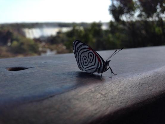 10580129_10153104714352589_6193265764011302413_n