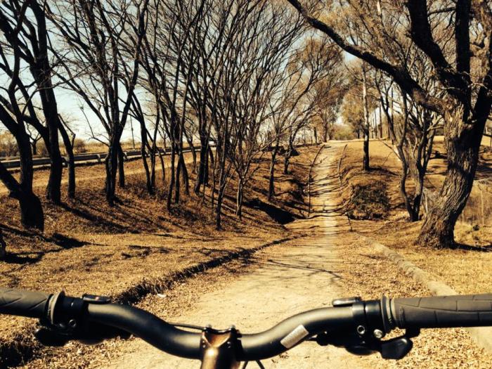 16082_10153099380692589_2256372732786704296_n